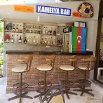 Kamelya