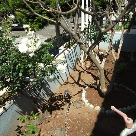 アパートホテル Kamelya