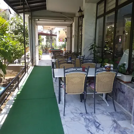 Kamelya 马尔马里斯